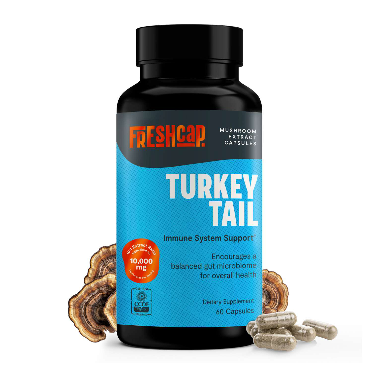 Turkey Tail - 60 Capsules (30 Servings)  | GNC
